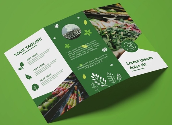Sự khác biệt giữa Catalogue và Brochure