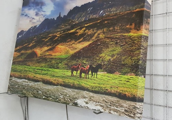 Tạo dấu ấn riêng bằng tranh canvas theo yêu cầu
