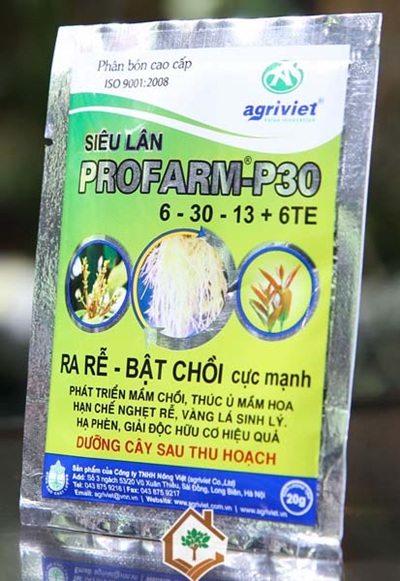  Nếu công ty bạn đang cần tìm một nhà cung cấp Decal giấy chuyên nghiệp và lâu dài thì In Ấn Hoàng Nam là lựa chọn đúng đắn cho bạn.