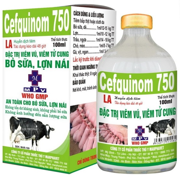 Mẫu in tem nhãn thuốc thú y
