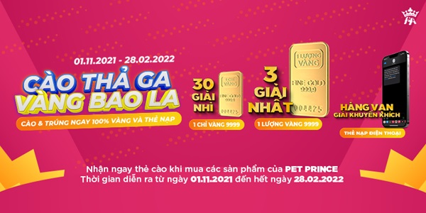 In thẻ cào khuyến mãi là một giải pháp hiệu quả giúp doanh nghiệp thu hút khách hàng và tăng cường hiệu quả các chiến dịch marketing. Với sự đa dạng về mẫu mã, chất liệu, và công nghệ in, thẻ không chỉ mang lại sự hứng thú cho khách hàng mà còn là công cụ giúp xây dựng lòng tin và tạo ấn tượng mạnh mẽ cho thương hiệu. Tuy nhiên, để đạt được hiệu quả tối đa, doanh nghiệp cần chú ý đến chất lượng in, bảo mật thông tin, và chọn đối tác in ấn uy tín. Một chiến lược sử dụng đúng đắn sẽ giúp bạn nổi bật trên thị trường và xây dựng mối quan hệ bền chặt với khách hàng.