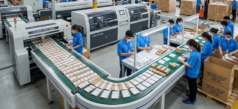 Phân xưởng sản xuất và gia công in tag giấy treo quần áo giá rẻ chất lượng tại TPHCM